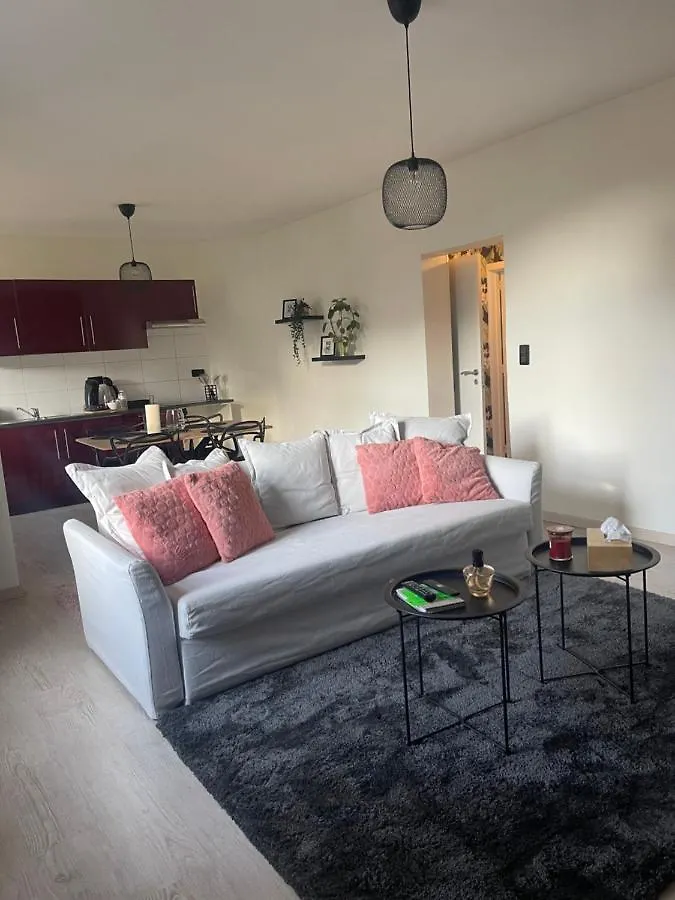 Appartement Le Cocon De La Belle Liegeoise