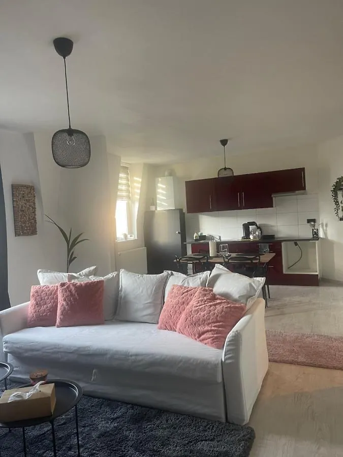 Appartement Le Cocon De La Belle Liegeoise Belgique